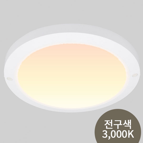 비츠온 254mm(10인치) 20W 전구색 원형 LED 직부등 라이트 I412228