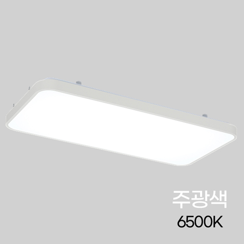 토탈 실크시스템 LED 거실등 2등 50W 주광 SY-LV2-FHA180 I382667