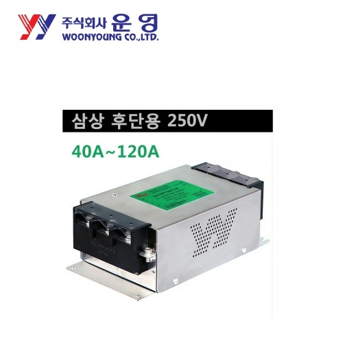운영 WYNFT100T2C 100A 삼상 250V 인버터 후단용 노이즈필터
